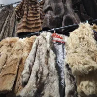 پوست اصل حیوان وارد از سیستان و بلوچستان