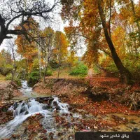 طبیعت گردی و مشهد گردی