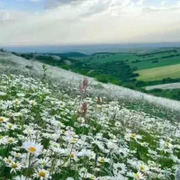 تور فندقلو یک روزه