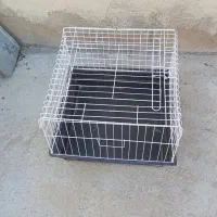 قفس خرگوش|لوازم جانبی حیوانات|ایلام, |دیوار