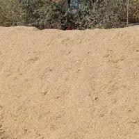 کاه گندم دیمی