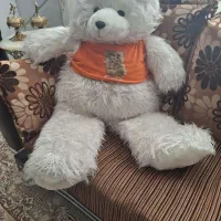 خرس بزرک