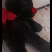 عروسک خرس بزرگ