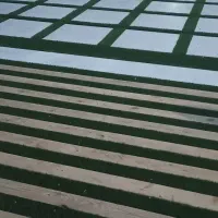 طراحی و اجرای پیاده رو باکس گل ،باغچه،گیاهان زینتی