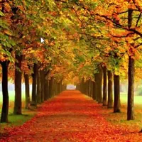 سوییت یک باب منزل مسکونی دارای آشپزخانه دستشویی