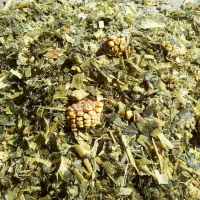 ذرت علوفه ی سیلو ی