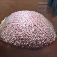 کاشت طبیعی مو ،ابرو،ریش،سیبیل|خدمات زیبایی و سلامت|شیراز, زرگری|دیوار
