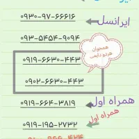 09191952732