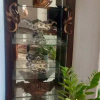 ویترین در حد نو