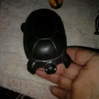 لاکپشت سنگی