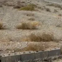 زمین-خالصه
