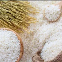 برنج دم سیاه|خوردنی و آشامیدنی|آزادشهر, |دیوار