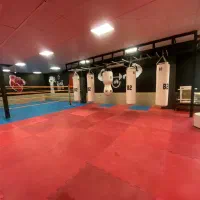 آموزش تخصصی بوکس