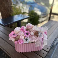 گل شمعی جاودان