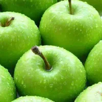 آغاز پیش فروش نهال سیب سبز