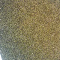 ماش عمرانی|عمده‌فروشی|دره شهر, |دیوار