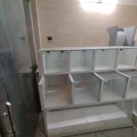 آجیل خوری