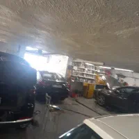نقاش ماهر  یا نیمه ماهر