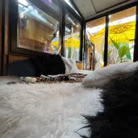 اجاره روزانه سوییت عظیمیه جهانشهر مهرشهر گوهردشت|اجارهٔ کوتاهمدت آپارتمان و سوئیت|کرج, فاز ۱ مهرشهر|دیوار