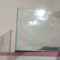 تنگ ماهی شیشه ای
