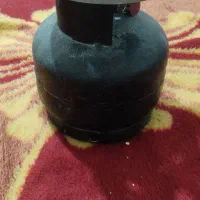 پیک نیک سالم