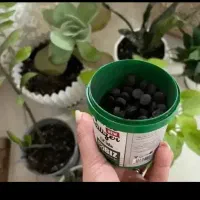 تامین غذای خاک گل‌های خانگی