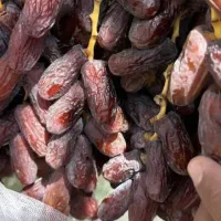 خرمای صادراتی پیارم و مضافتی|عمده‌فروشی|تهران, قلهک|دیوار