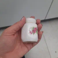 بشقاب گلسرخ|ظروف سرو و پذیرایی|شیراز, شهرک کوثر|دیوار