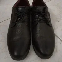 کفش|کیف، کفش، کمربند|سیمین شهر, |دیوار