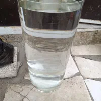 تنگ استوانه‌ای ماهی