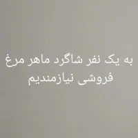 شاگرد مرغ فروشی