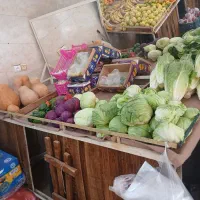 پالت میوه فروشی|فروشگاه و مغازه|قرچک, باقرآباد|دیوار