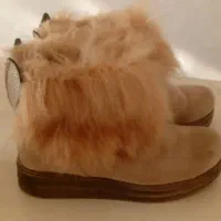 کفش|کیف، کفش، کمربند|ملایر, |دیوار