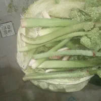 اوشگون