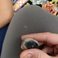 سنگ فوق خاص، شهاب سنگ ، عقیق اصل|کلکسیون اشیاء عتیقه|گرگان, |دیوار