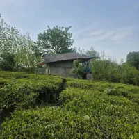 3600متر-خانه-محوطه-جنگلی
