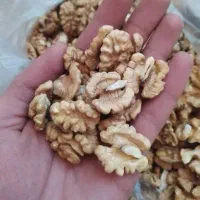 گردو بادام از من کشاورز ارزان بخرید
