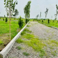 200متر زمین داخل بافت|فروش زمین و ملک کلنگی|دابودشت, |دیوار