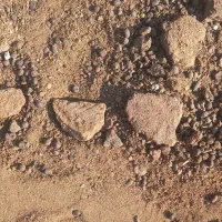 کود گوسفندی|خدمات باغبانی و درختکاری|صفادشت, |دیوار