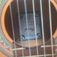 گیتار|گیتار، بیس، امپلیفایر|شیراز, انجیر|دیوار