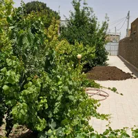 خانه ویلایی ۵۰۰ متری سند تک برگ|فروش خانه و ویلا|اصفهان, ارداجی|دیوار