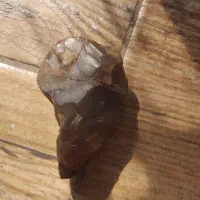 کهربای مهمان دار