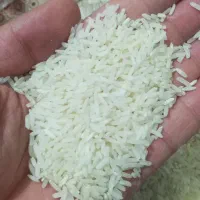 برنج محلی
