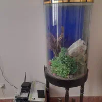 اکواریوم شیشه استوانه خم