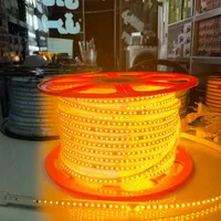 نورمخفی ریسه شلنگی انبه ای|ریسه و چراغ تزئینی|ملایر, |دیوار