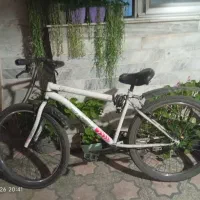 دوچرخه|دوچرخه، اسکیت، اسکوتر|رشت, سیا اسطلخ|دیوار