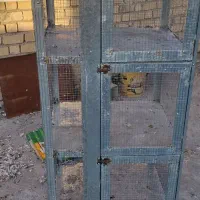 جفت دونی کفتر|لوازم جانبی حیوانات|مرودشت, رودبال|دیوار