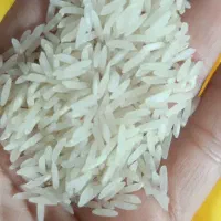 انواع برنج های معطرشمال و جنوب|خوردنی و آشامیدنی|مشهد, گاز|دیوار