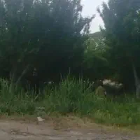 فروش-باغچه-سنددار