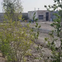 فروش باغ